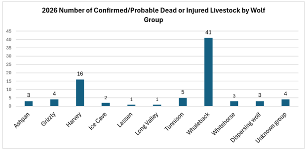 2026 Number of Confirmed/probable Dead or Injured Livestock by Wolf Group (as of 12/31/2025)